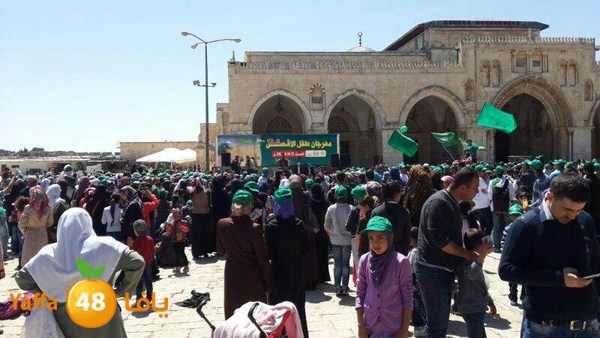 aqsa mahrajan 12 (34).jpg